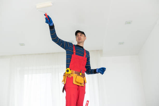 La Quinta, CA Mold Removal Company