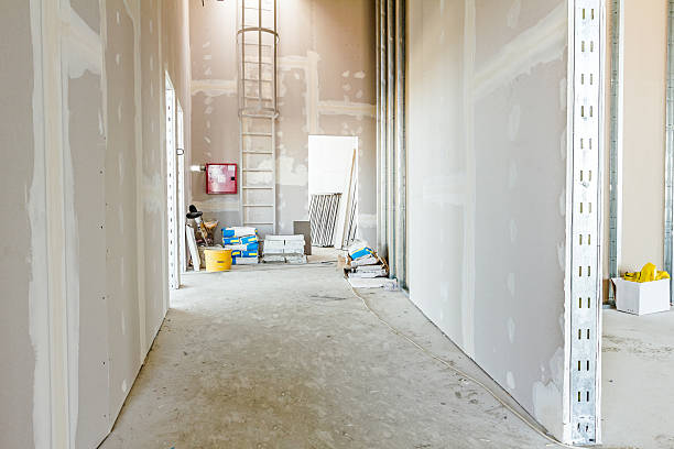  La Quinta, CA Mold Removal Pros